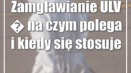 Zamgławianie ULV  na czym polega i kiedy się stosuje
