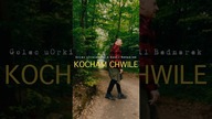 Kocham Chwile #relaks #kochamchwile #pop #muzyka #live #las #music #funny #golec #cool