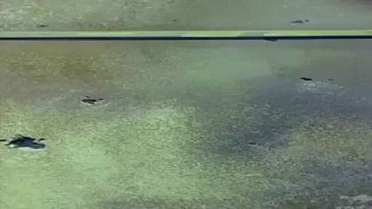 Tygrysia Maska Lektor PL. 072