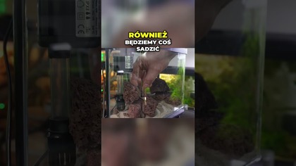 Lawa Wulkaniczna i Prosta Aranżacja  ? 