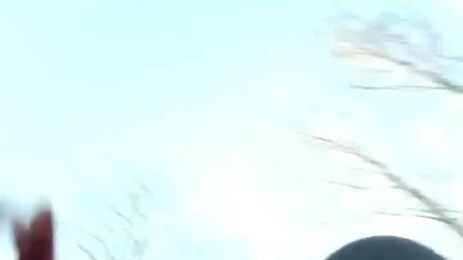 Słoneczny (i błotny) las i Koszalin! Pogadanka podczas wędrówki, Q&A ze spaceru! Rubik i Sarmata!