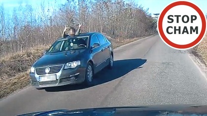 Agresywne zachowanie kierującego VW Passat #2175 Wasze Filmy