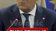 TUSK SZYKUJE USTAWĘ DLA MAŁŻEŃSTW JEDNOPŁCIOWYCH!