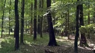 Leśniczówka