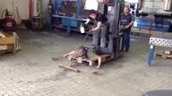 Gdy szefa nie ma w pracy