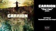 Carrion - Wonderful Life