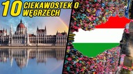 10 CIEKAWOSTEK O WĘGRZECH