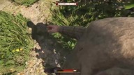 Kingdom Come Deliverance 2 - PS5 PRO LIVE