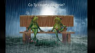 Co On/Ona czuje w tym momencie do Ciebie? Wybierz KarteCzytanie Tarota 
