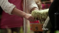 Terra Nova S01E11