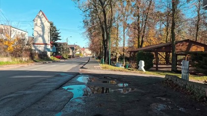 Kamieniec, ul.  Tarnogórska, Śląsk, Polska