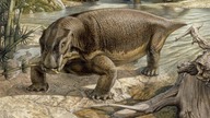 Lystrozaur – świnia która rządziła światem