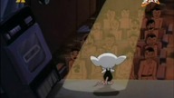 Pinky i M&oacute;zg S03E24 - Choroba na Broadwayu