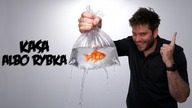 KASA ALBO RYBKA | Poszukiwacz 571