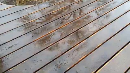 First Rain of 2025 