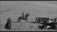 Cast.  A.  Long.  Shadow.  Rzucić.  długi.  cień.  1959.  Lektor.pl 1080 western