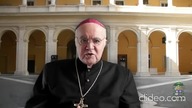 Riposta Abp Vigano Po Oskarżeniu O Schizmę.  Nieoczekiwane Wsparcie Od ...