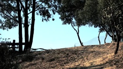 House M.  D.  S07E08 Small Sacrifices