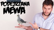 PODEJRZANA MEWA | Poszukiwacz #319