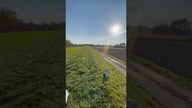 Ostatnie podrygi jesiennego słońca w Polsce