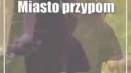Miasto przypomina mieszkańcom: Po psie trzeba sprzątać