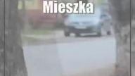 Piękne klony i topole na wióry.  Mieszkańcy zaskoczeni