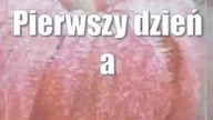 Przed nami kolejna zimna noc.  IMGW wydaje alert