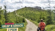 Urlop z psem w górach.  Zdobywamy Skrzyczne, Malinowską Skałę.  Jezioro Żywieckie