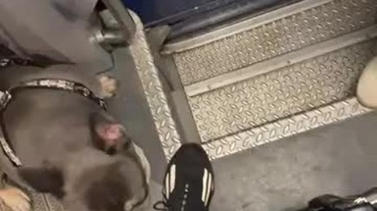 I znów w podróży.