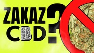 Youtube ZABLOKOWAŁ ten film! ZAKAZ CD! (Cenzura Mety, Trump, Legalizacja, Tusk)