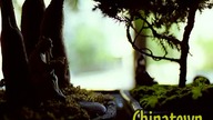 New York Slideshows - Chinatown