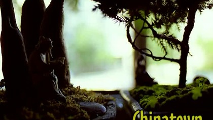 New York Slideshows - Chinatown
