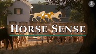 Miastowy - Ostatnie takie ranczo - Horse Sense (1999) Lektor