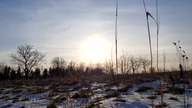 Znowu Zawód - 4:38 ChemTrails