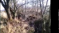 Maskowanie obozowiska