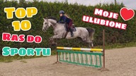 TOP 10 RAS KONI DO SPORTU *w tym moje ulubione*