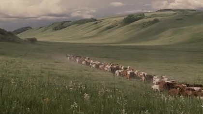 Bezprawie Open Range 2013