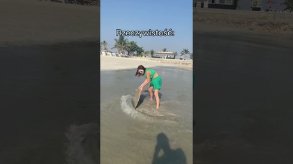 A jak u Was z deską? Pływacie czy wolicie leżak? #adafijał #skimboard #sport #deska #mood