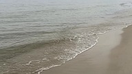 Dzika Plaża Bałtycka świąteczną porą! Łazy! Poniedziałek Wielkanocny z SK! Wypoczynek i odpoczynek!