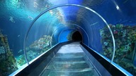 LAquarium Barcelona - Nie tylko WoT