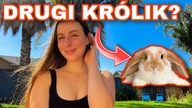 DRUGI KRÓLIK? | Q&A