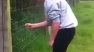 Challenge, elektryczny pastuch i dziewczyna
