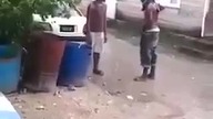 KO po wiejsku
