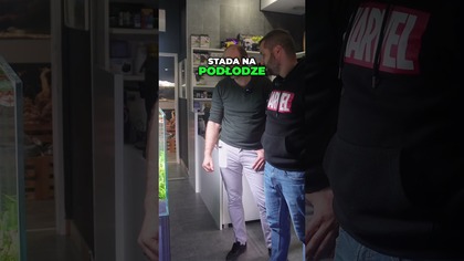 Przykra Historia #AquaPlant #akwarium #aquascape #akwarystyka