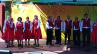 Sokoły ;)