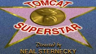 Tom and Jerry Tomcat Superstar [2007]