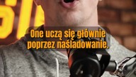 Masz dzieci? Uważaj na sport #short