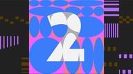 Dzik Pies & Kura