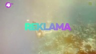 4FUNTV - 19-08-2020 - Reklama(fragment) + POLOTV Autopromocja(fragment)