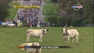 Wrześniowe wydanie Watts